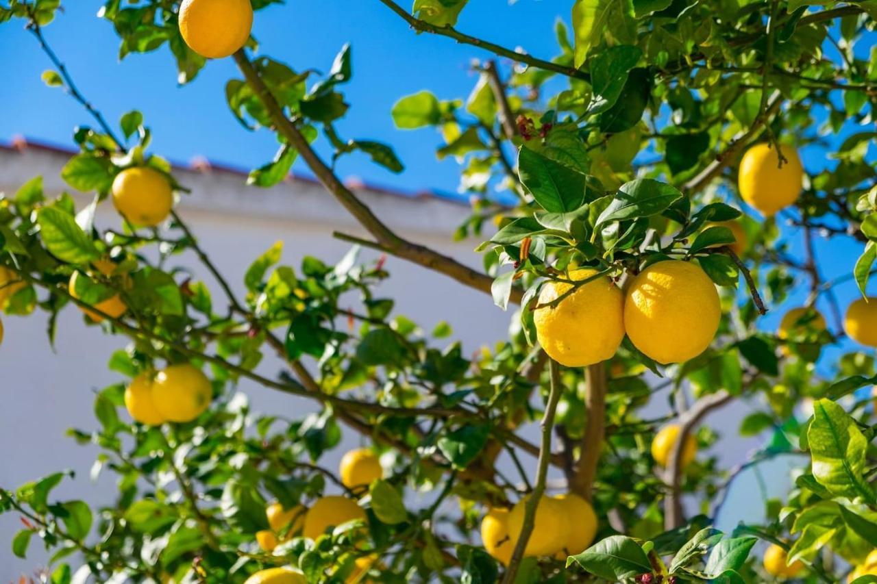 Villa Riu Altaret Denia Zewnętrze zdjęcie