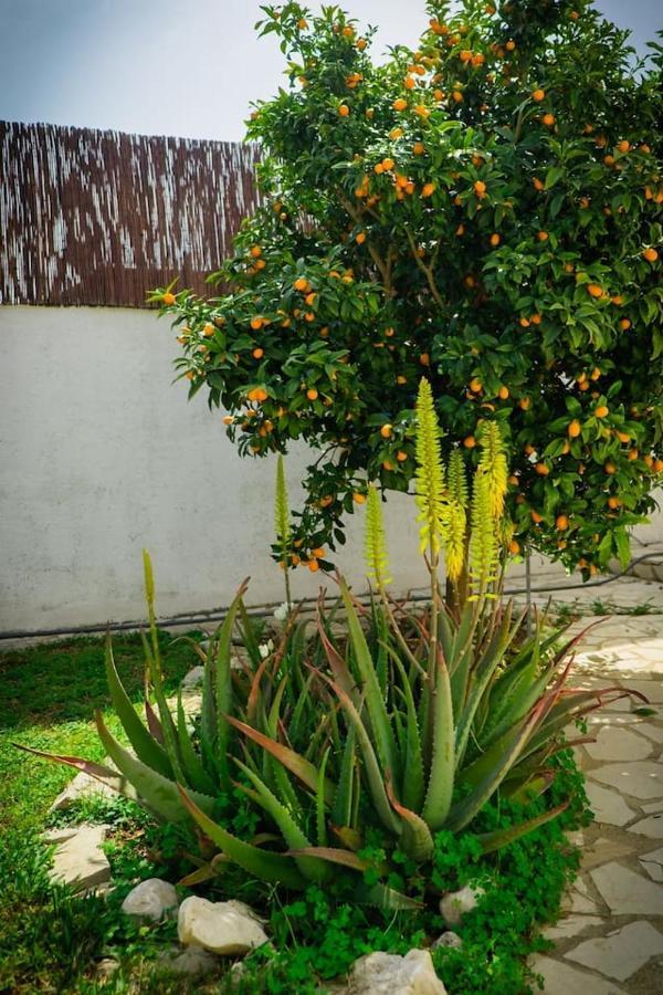 Villa Riu Altaret Denia Zewnętrze zdjęcie